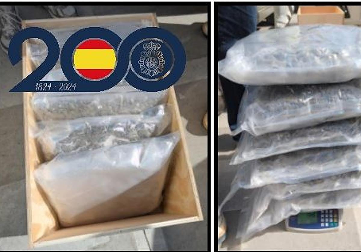 Interceptan en Murcia más de 28 kilos de cogollos de marihuana que iban a ser enviados a Alemania